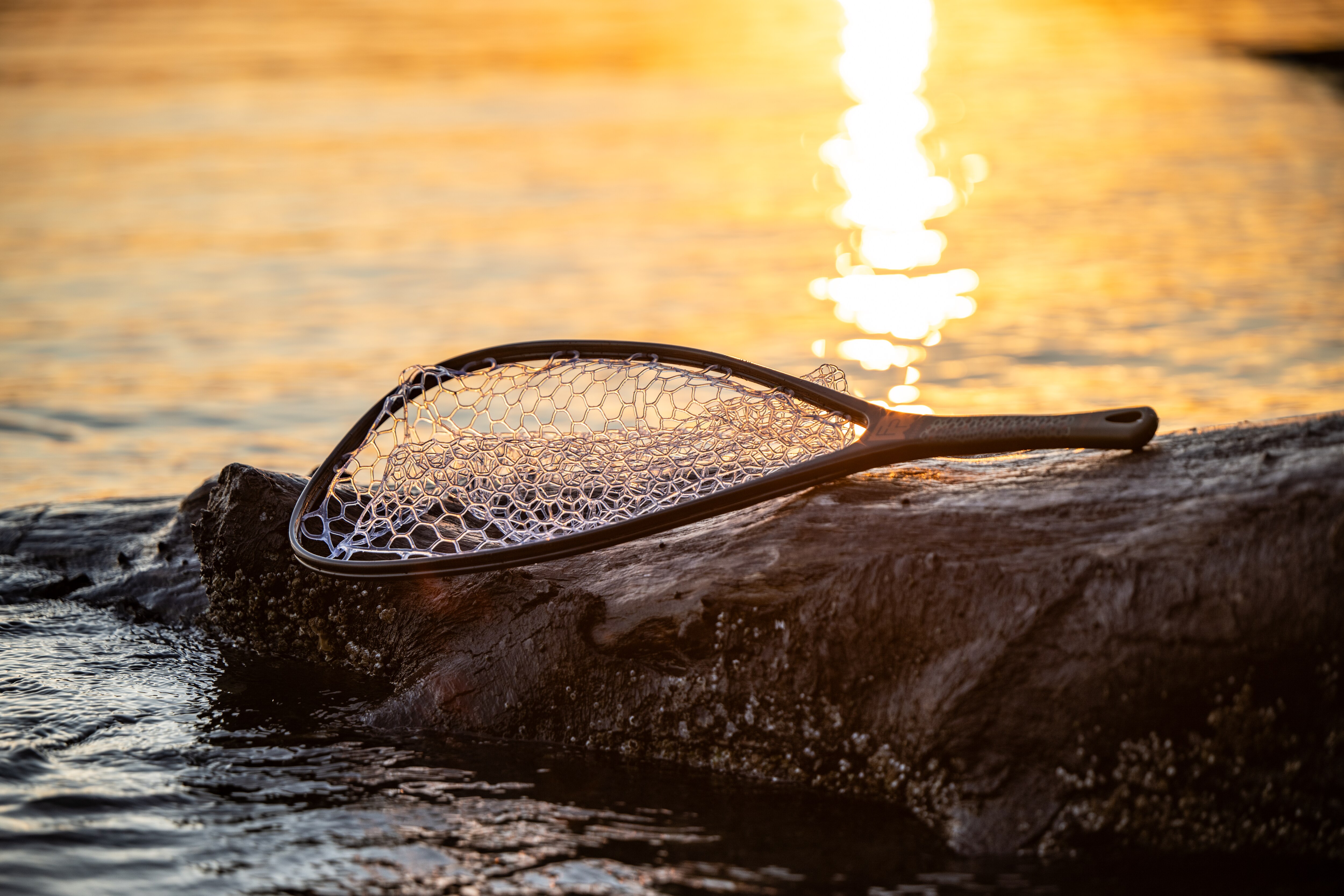 Fishpond Nomad Yampa Net in Brown Trout